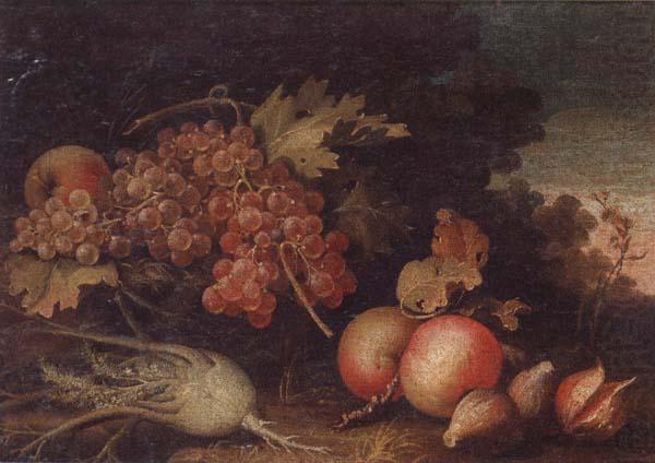 unknow artist Still lifes of Grapes,figs,apples,pears,pomegranates,black currants and fennel,within a landscape setting china oil painting image